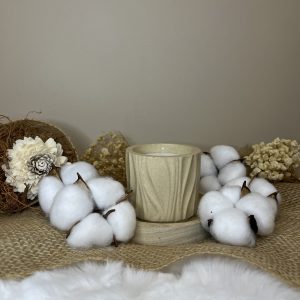 L'Envoûtante Fleur de Coton